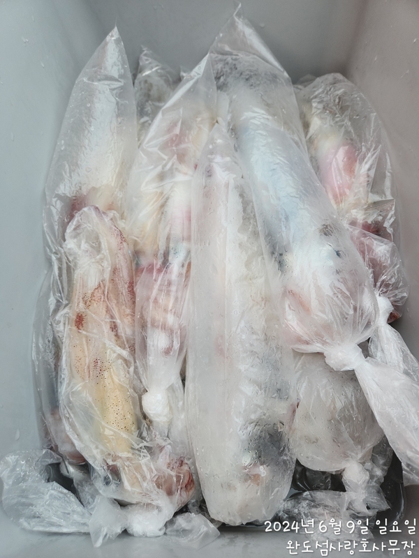 완도섬사랑호의 조황일지 이미지 - 7