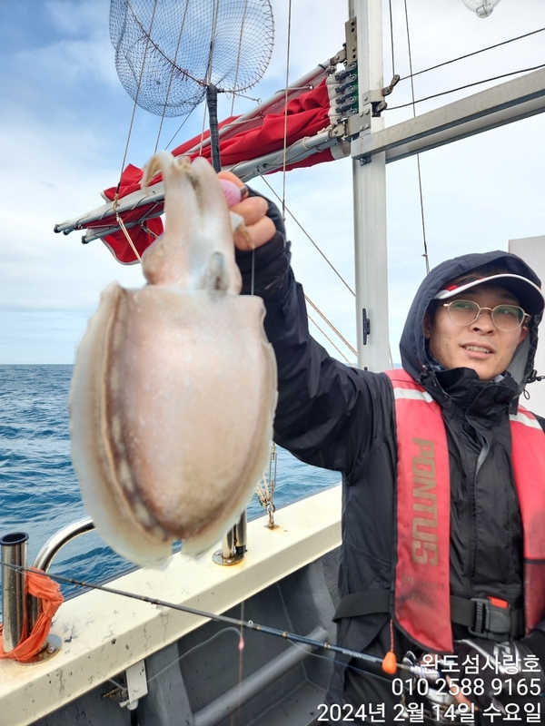 완도섬사랑호의 조황일지 이미지 - 3