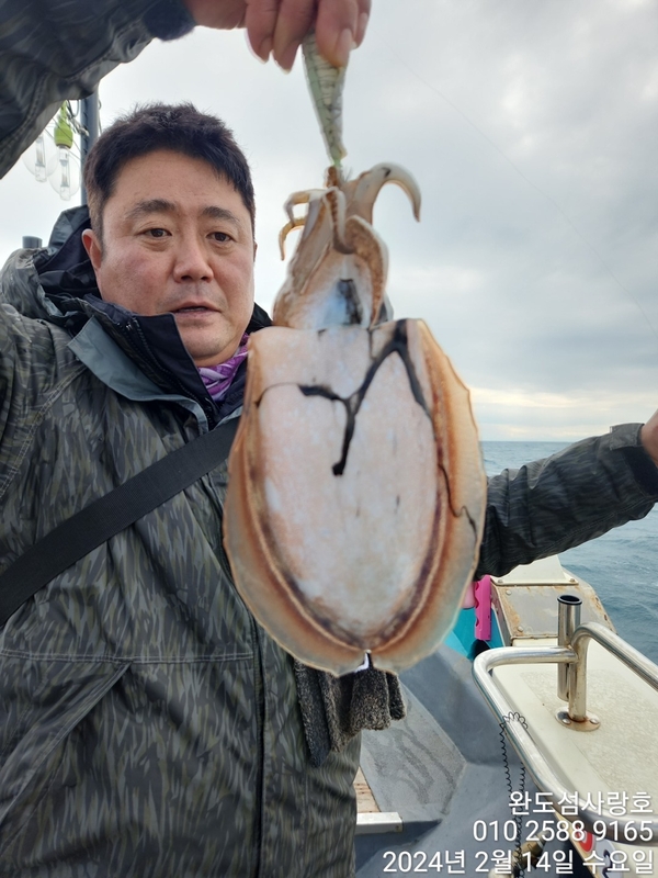 완도섬사랑호의 조황일지 이미지 - 4