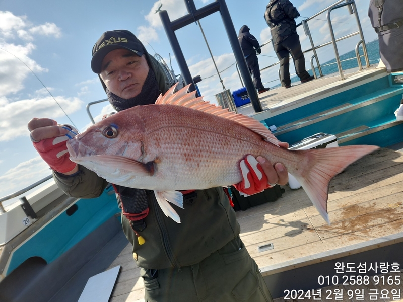 완도섬사랑호의 조황일지 이미지 - 0