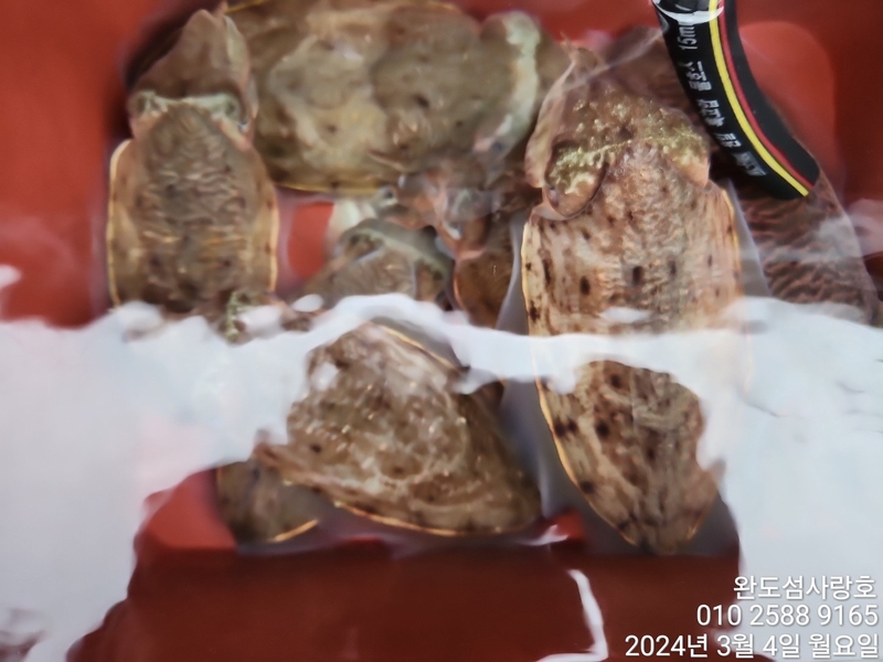 완도섬사랑호의 조황일지 이미지 - 1