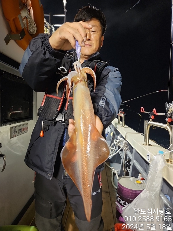 완도섬사랑호의 조황일지 이미지 - 0