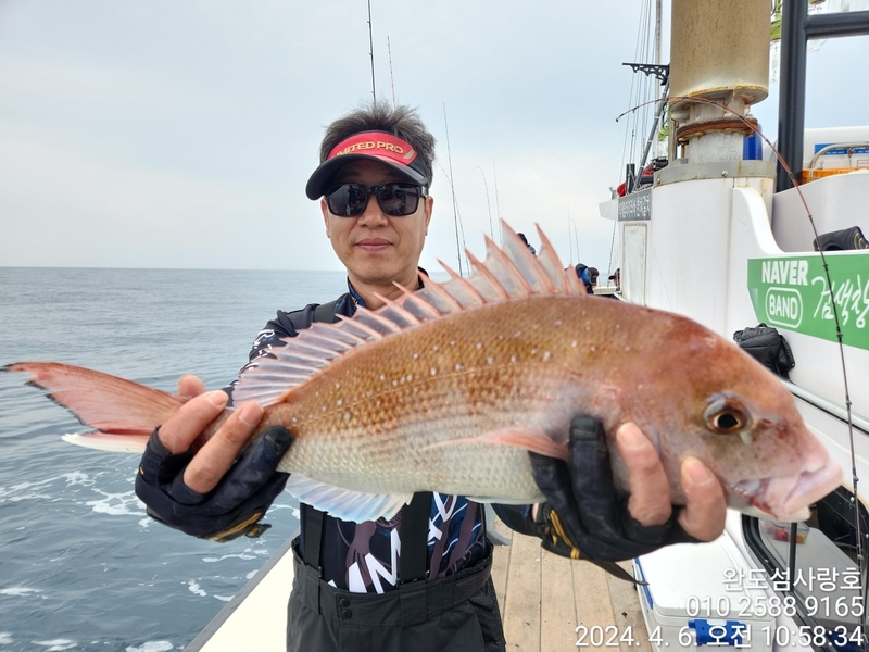 완도섬사랑호의 조황일지 이미지 - 1