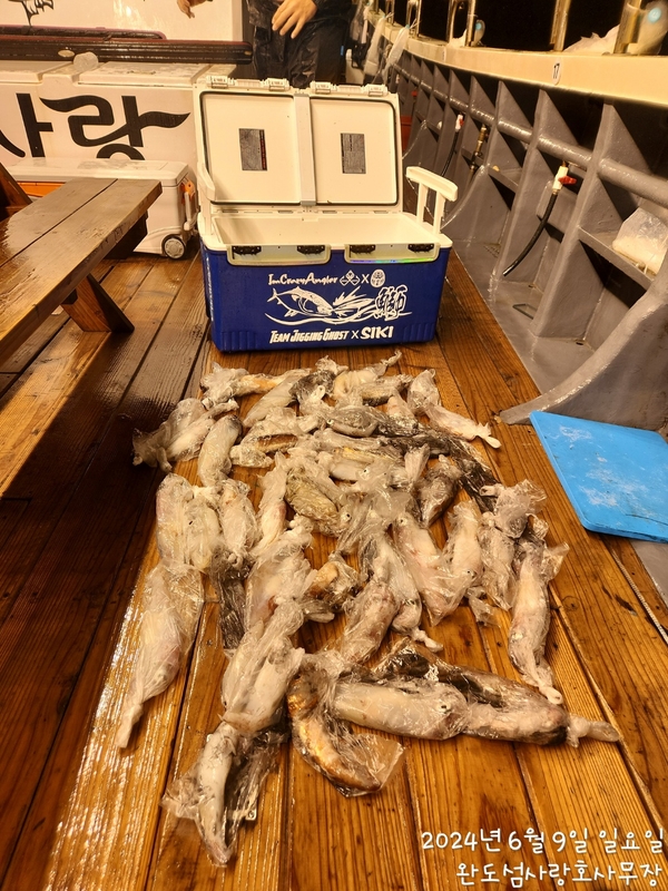 완도섬사랑호의 조황일지 이미지 - 3