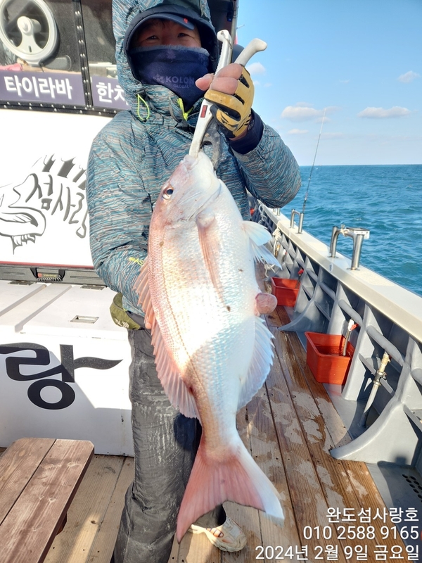 완도섬사랑호의 조황일지 이미지 - 2