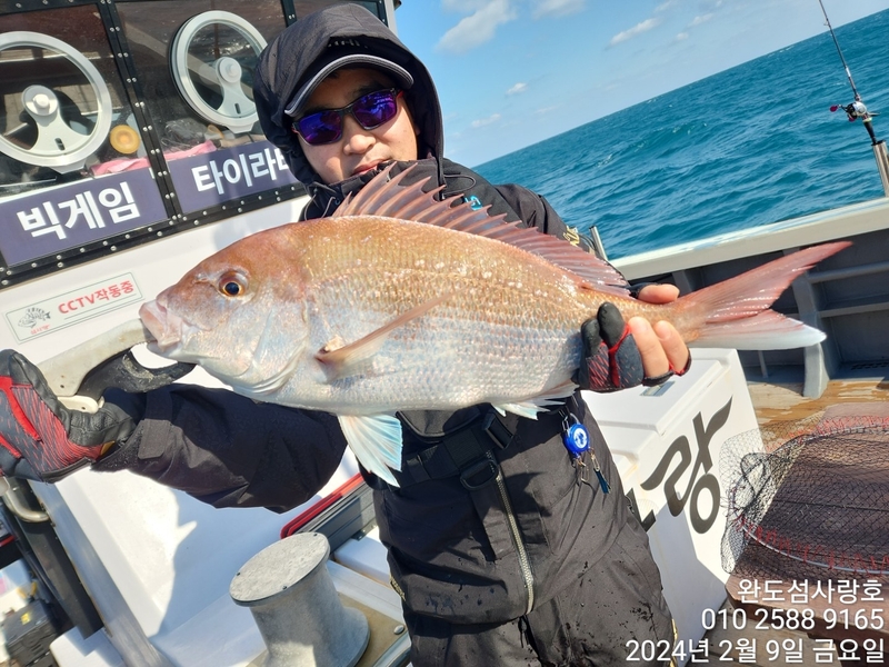 완도섬사랑호의 조황일지 이미지 - 1