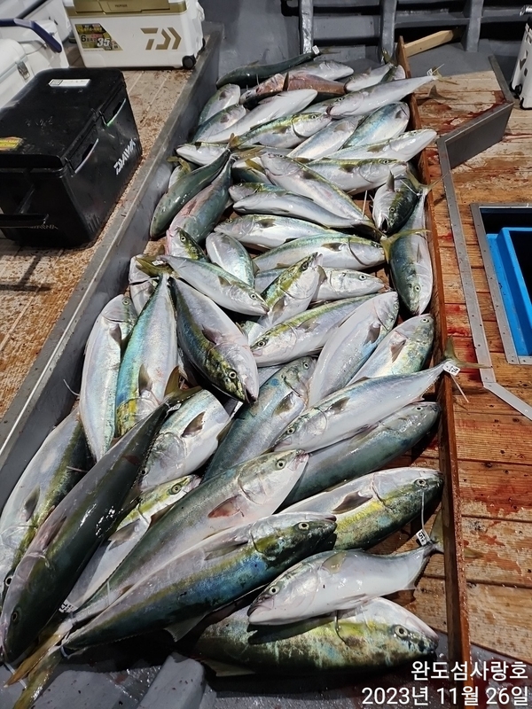 해당 선사를 대표하는 이미지