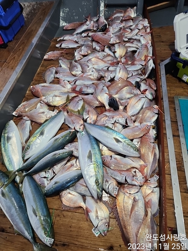 해당 선사를 대표하는 이미지