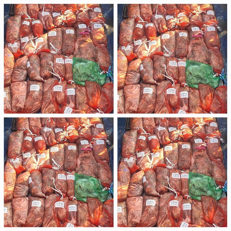 무창포뉴체이스호의 조황일지 이미지 - 0