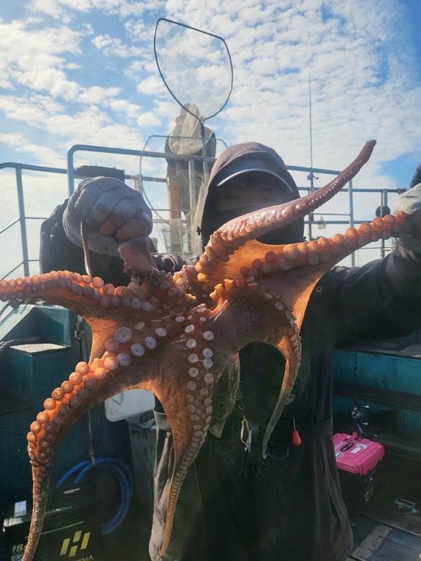 무창포뉴체이스호의 조황일지 이미지 - 9