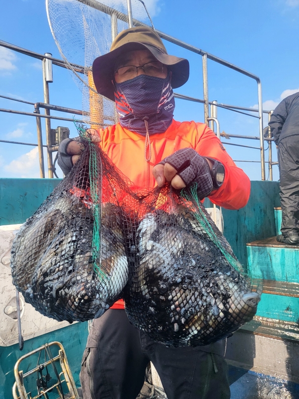 무창포뉴체이스호의 조황일지 이미지 - 2