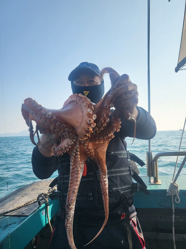 무창포뉴체이스호의 조황일지 이미지 - 1