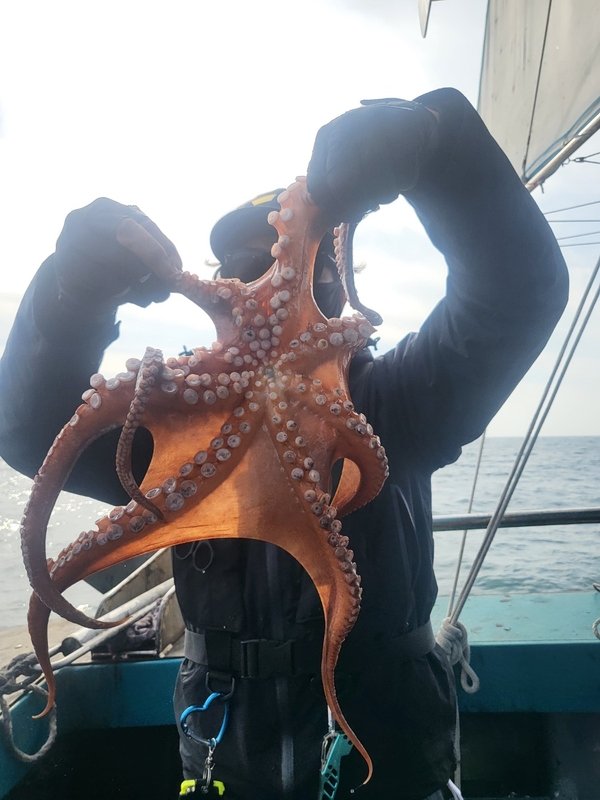 무창포뉴체이스호의 조황일지 이미지 - 14