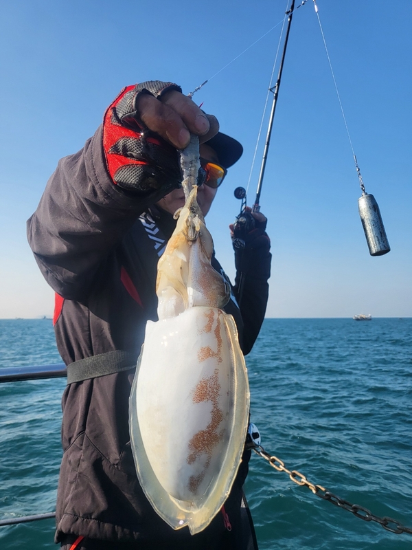 무창포뉴체이스호의 조황일지 이미지 - 1