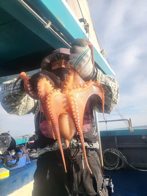 무창포뉴체이스호의 조황일지 이미지 - 7