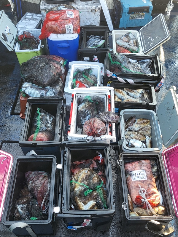 무창포뉴체이스호의 조황일지 이미지 - 1