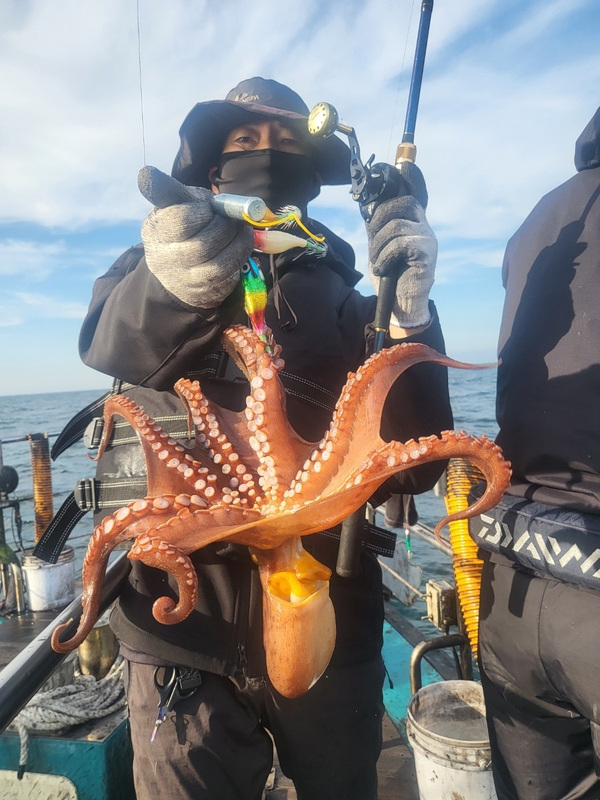 무창포뉴체이스호의 조황일지 이미지 - 4