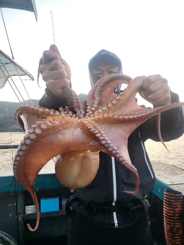 무창포뉴체이스호의 조황일지 이미지 - 4