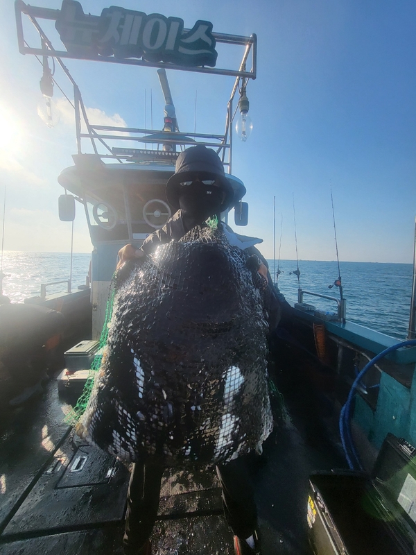 무창포뉴체이스호의 조황일지 이미지 - 16