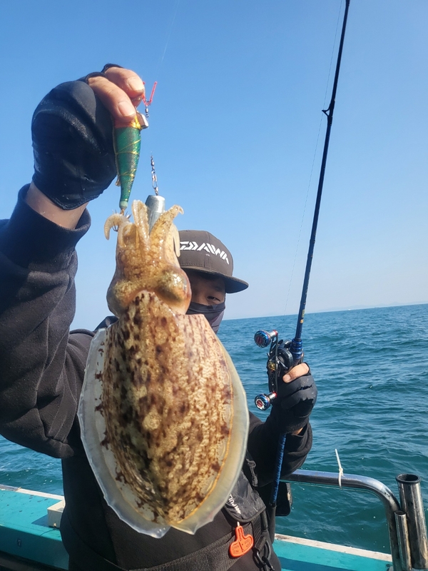 무창포뉴체이스호의 조황일지 이미지 - 13