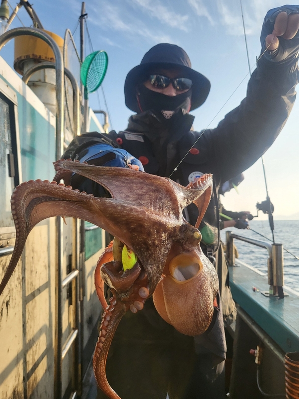 무창포뉴체이스호의 조황일지 이미지 - 6