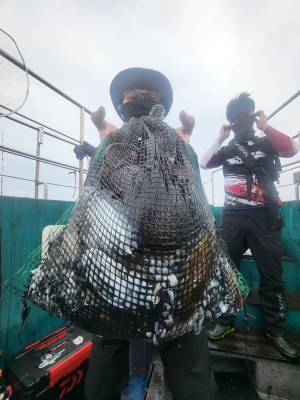 무창포뉴체이스호의 조황일지 이미지 - 12