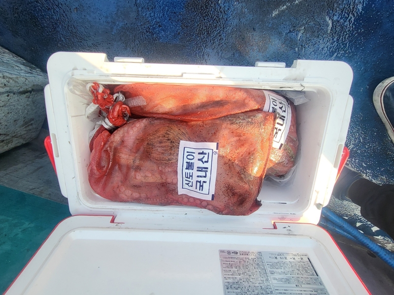 무창포뉴체이스호의 조황일지 이미지 - 13