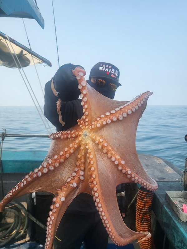 무창포뉴체이스호의 조황일지 이미지 - 1