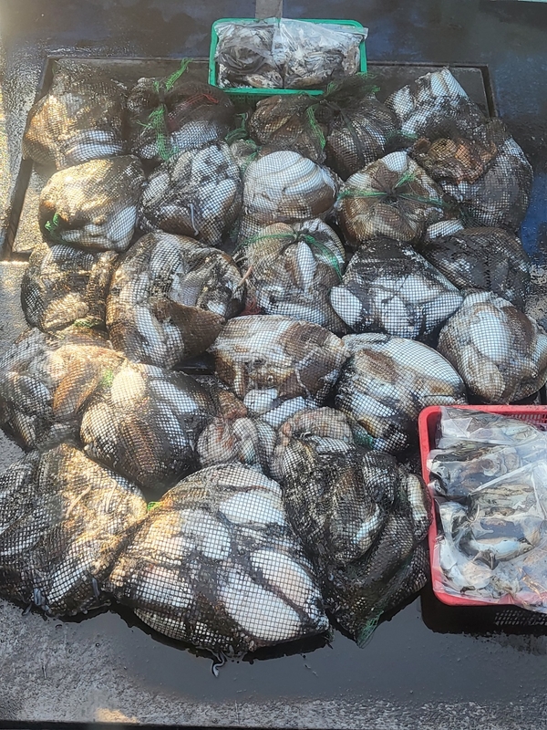 무창포뉴체이스호의 조황일지 이미지 - 1