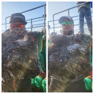 무창포 체이스낚시 10월30일 왕갑이 찰갑이조황  선상낚시로 잡은 물고기 조황