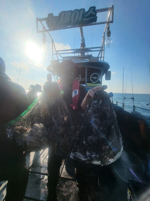 무창포뉴체이스호의 조황일지 이미지 - 15