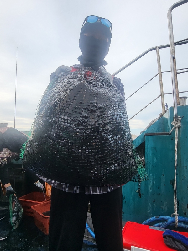 무창포뉴체이스호의 조황일지 이미지 - 10