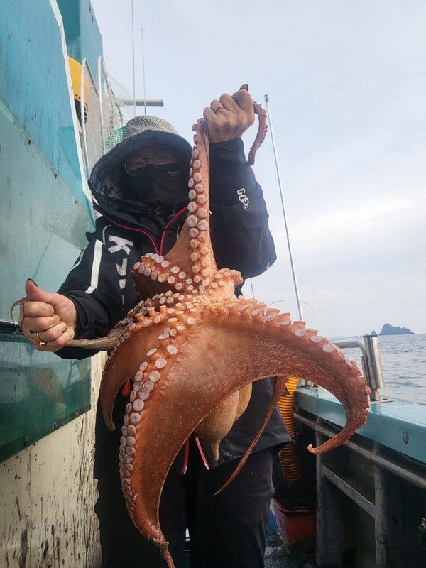 무창포뉴체이스호의 조황일지 이미지 - 3