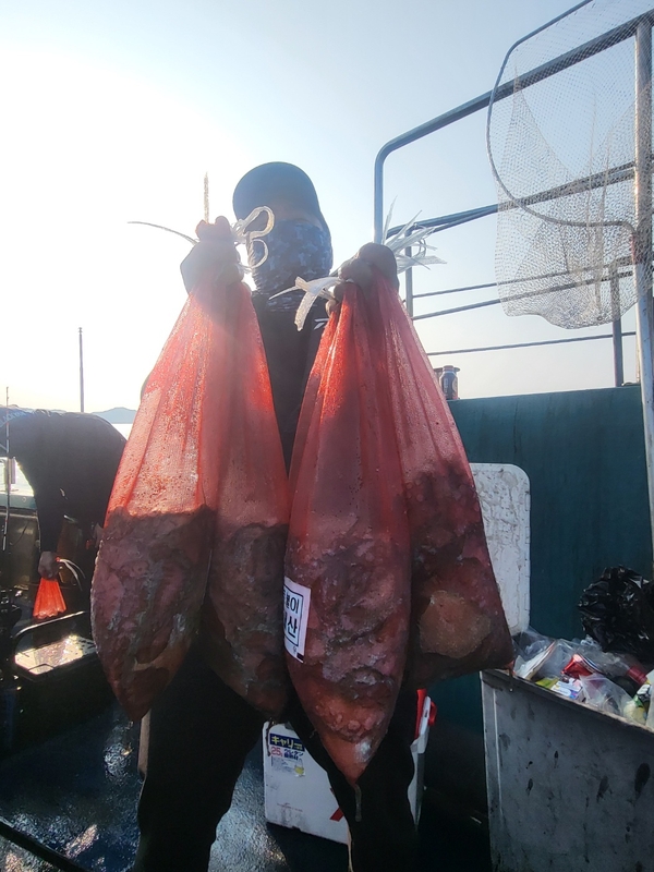 무창포뉴체이스호의 조황일지 이미지 - 11