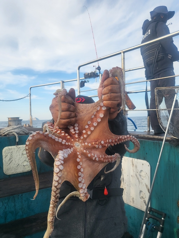 무창포뉴체이스호의 조황일지 이미지 - 3