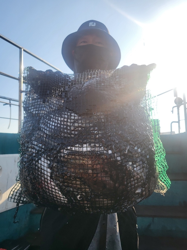 무창포뉴체이스호의 조황일지 이미지 - 8