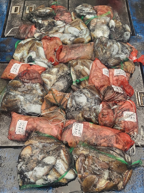 무창포뉴체이스호의 조황일지 이미지 - 13