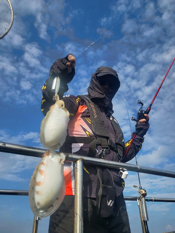 무창포뉴체이스호의 조황일지 이미지 - 3