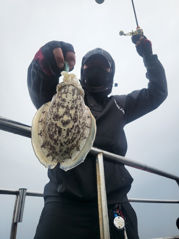 무창포뉴체이스호의 조황일지 이미지 - 2