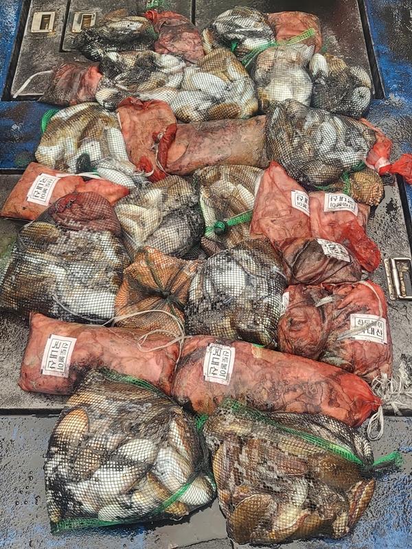 무창포뉴체이스호의 조황일지 이미지 - 14