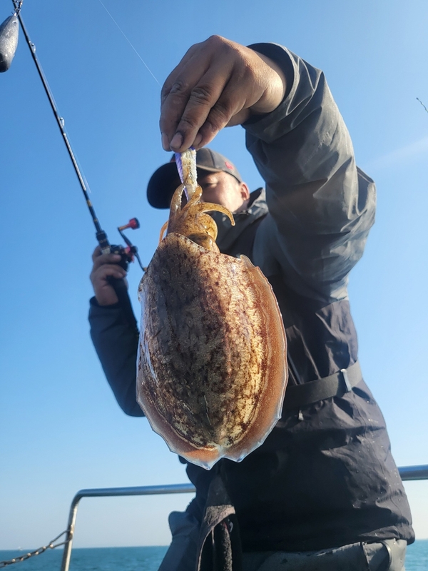 무창포뉴체이스호의 조황일지 이미지 - 9