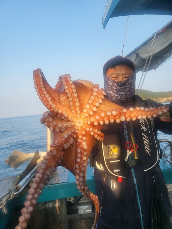 무창포뉴체이스호의 조황일지 이미지 - 6