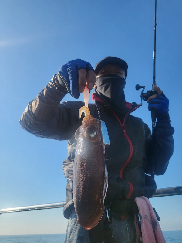 무창포뉴체이스호의 조황일지 이미지 - 2