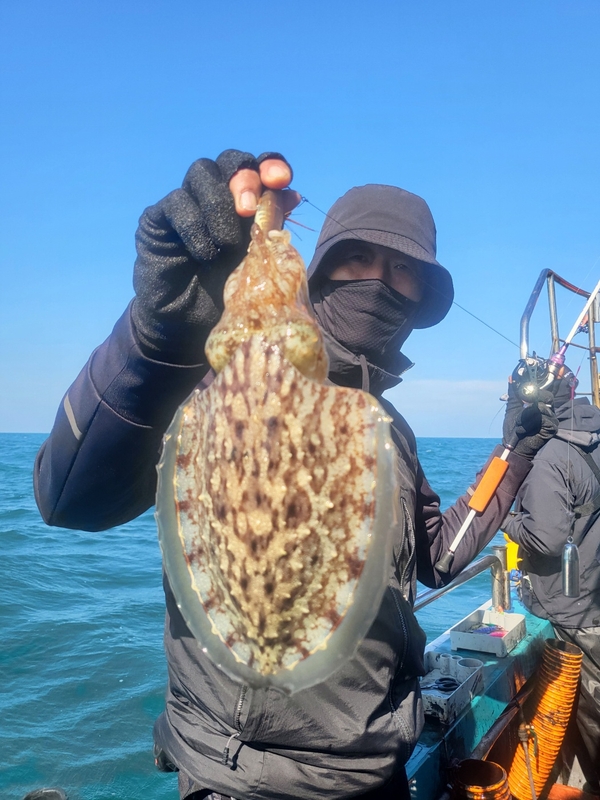 무창포뉴체이스호의 조황일지 이미지 - 3