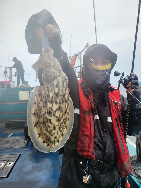 무창포뉴체이스호의 조황일지 이미지 - 1