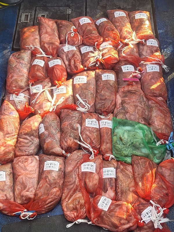 무창포뉴체이스호의 조황일지 이미지 - 14