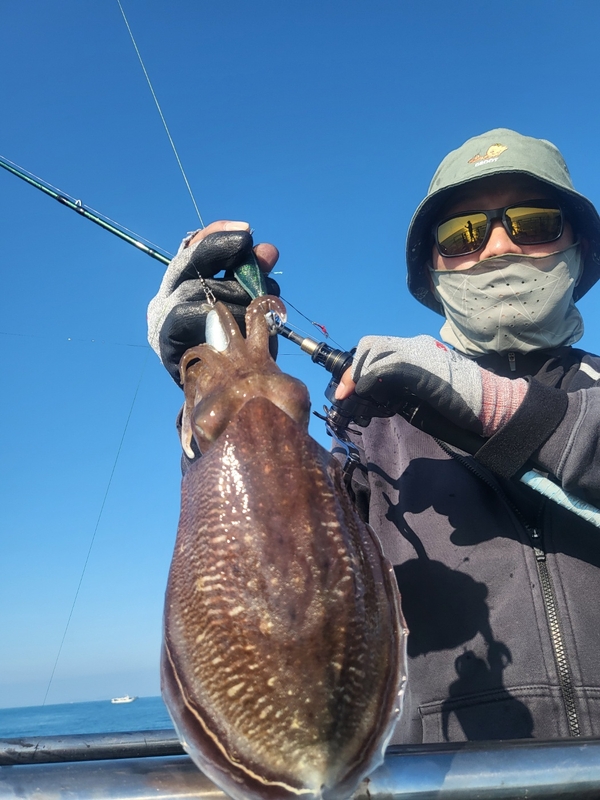 무창포뉴체이스호의 조황일지 이미지 - 1