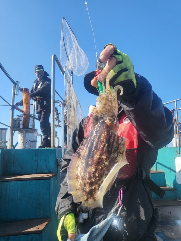 무창포뉴체이스호의 조황일지 이미지 - 4