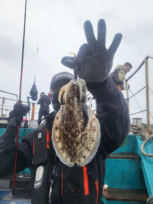 무창포뉴체이스호의 조황일지 이미지 - 5