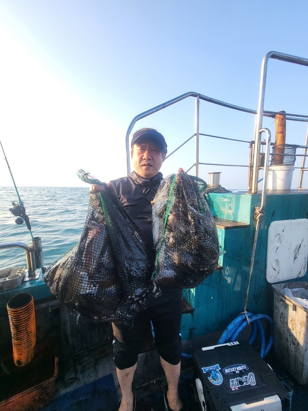 무창포뉴체이스호의 조황일지 이미지 - 5